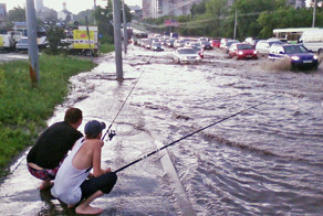 Свежая подборка автоприколов