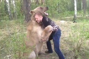 Медведь и его ручной человек решили побороться