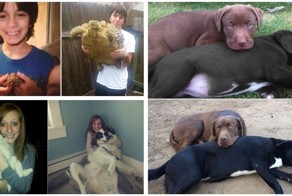 Домашние питомцы «тогда и сейчас»