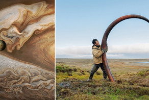 20 любопытных фото, которые вас удивят