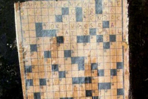 Пожилая посетительница в музее заполнила «кроссворд» стоимостью 116 тысяч долларов