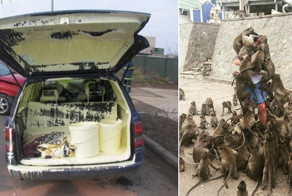 12 человек, у которых просто не задался день