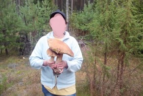 Первые белые и сразу такой урожай