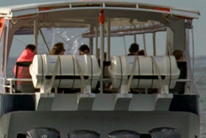 Искатели китов пропустили эту фантастическую сцену, просто посмотрев не в ту сторону