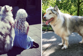 Лютоволки существуют!