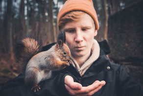 Душа леса. Фотограф Конста Пункка