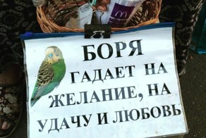 Дурят нашего брата!