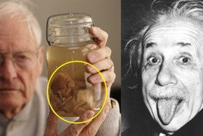 15 удивительных фактов об Эйнштейне, которых вы могли не знать