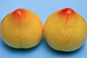 25 малоизвестных фактов о груди, которые должен знать каждый