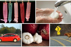 25 абсурдных американских законов