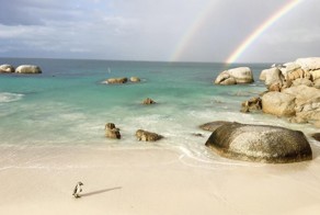 Фотоподборка за 01.08.2016