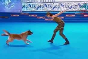 Пёс Дэрил, который умеет делать искусственное дыхание