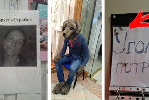 Сумасшедшие магазины, которыми можно пугать маленьких детей