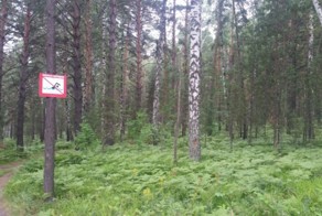 Фотоподборка за 02.08.2016