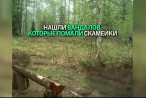 Кто ломает скамейку в заповеднике