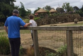 Отец пустил своего ребенка в вольер с носорогами для красивого селфи