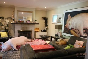 Фотоподборка за 09.08.2016