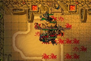 Геймеру потребовалось 9 лет, чтобы раскрыть секретную дверь в игре Tibia