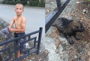 В Ревде 12-летний мальчик спас щенка, едва не утонувшего в сточной канаве