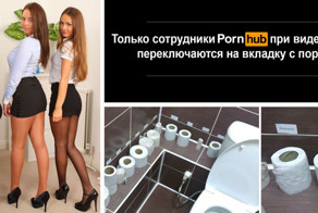 Они просто устроились на работу в офис, и вот что произошло