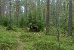 Пост Ностальгии о Лете часть 1