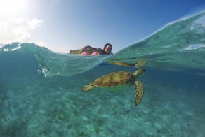 Фотоподборка за 18.08.2016