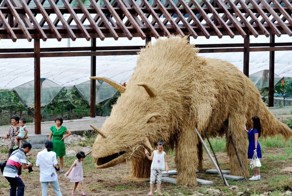 Фотоподборка за 19.08.2016