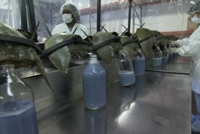 15 самых страшных способов применения крови