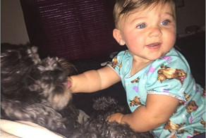 Домашний любимец пес Поло спас маленькую хозяйку от пожара ценой своей жизни