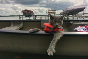 Фотоподборка за 26.08.2016