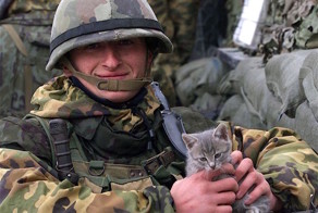 Военные коты