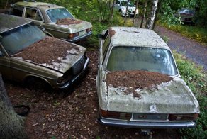 Кладбище Мерседесов в центре Финляндии