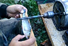 Установка для чистки мелкой рыбы