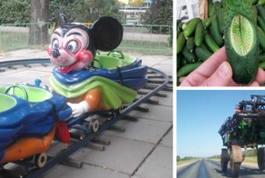 Что ты такое?