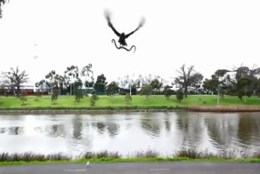 В Австралии ястреб сбросил змею на отдыхающих