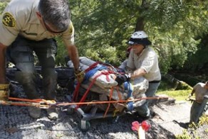 15 самых жутких вещей, которые люди находили у себя на заднем дворе