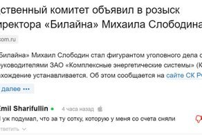 Гендиректор "Билайна" объявлен в розыск