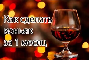 Дедушкин секрет - Как сделать коньяк за 1 месяц. Настойка на коре дуба "Дубрава"