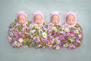 Привет, мир! Абсолютно одинаковые четверняшки выступают в качестве очаровательных фотомоделей