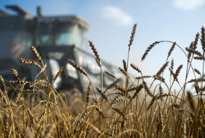 Россия впервые заработала на сельском хозяйстве больше, чем на оружии