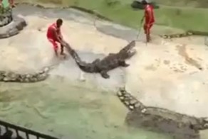 Вот уж повезло, так повезло!