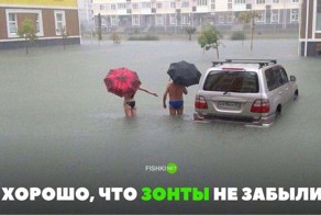 30 позитивных картинок, которые скрасят ваш  день