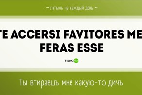 Латынь на каждый день 