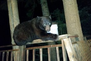Фотоподборка за 13.09.2016