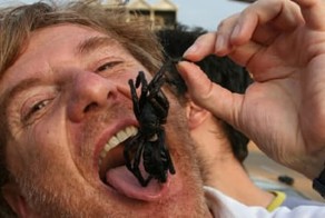 Мерзкие факты о пауках, о которых вам будет мерзко читать!