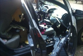 Как медведь еду искал