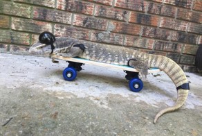 Фотоподборка за 16.09.2016