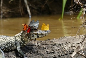 Фотоподборка за 19.09.2016