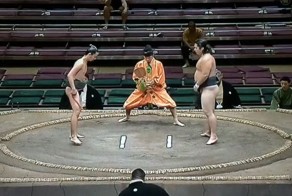 Знать, моська ты сильна, что лаешь на слона: коротко о том, почему сумоисты должны хорошо кушать