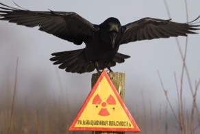 9 самых радиоактивных мест в России